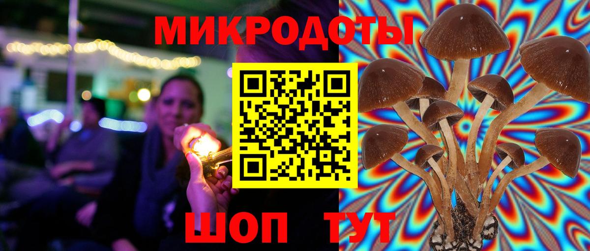 Псилоцибиновые грибы мицелий  Вход с VPN  Десногорск 