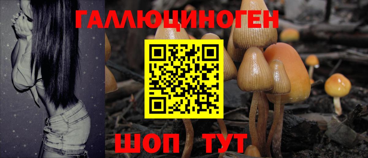 Галлюциногенные грибы прущие грибы Десногорск